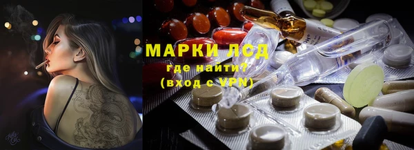 ПСИЛОЦИБИНОВЫЕ ГРИБЫ Алексин
