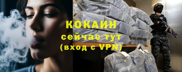 шишки Абинск