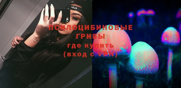 ECSTASY Абаза