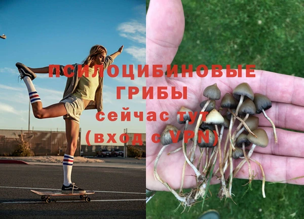 ПСИЛОЦИБИНОВЫЕ ГРИБЫ Алексин