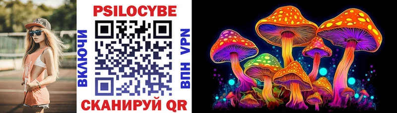 Псилоцибиновые грибы Cubensis  где можно купить   Яхрома 