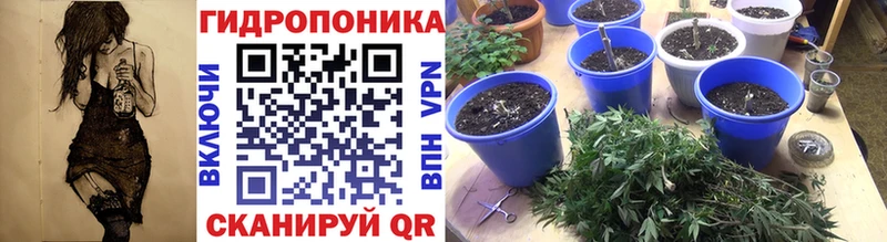 мега ссылка  дарнет шоп  Яхрома  Каннабис гибрид 
